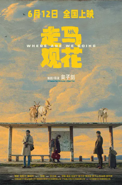 【剧情片】走马观花