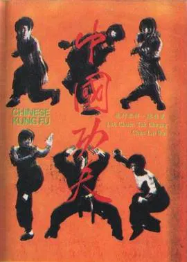 【动作片】中国功夫